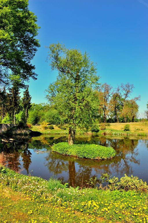 Bed and Breakfast Palac Jablonowo Уйсце Экстерьер фото